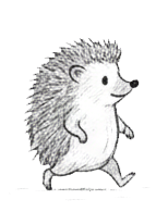 Hedgehog